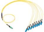 Molex Ensambles de cables MMC