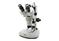 Microscopes & Accessories