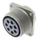 Amphenol Industrial 10-069522-09S