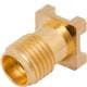 Amphenol / SV Microwave 1521-00008
