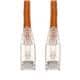 Amphenol ProLabs C-125FCAT6AS-OE