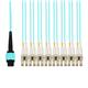 Amphenol ProLabs C-MPO-4LC20M5OM4