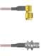 Amphenol Custom Cable Q-3404F0005012i