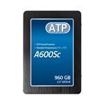 Imagen ampliada de ATP Electronics AF960GSTCJ-7BBXP