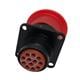 Cinch MS24264R12B12PN
