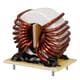 Bel Signal Transformer SNCMC-127-015