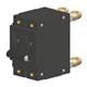 Carling Technologies CT2-P2-D2-820-A21-MK