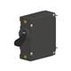 Carling Technologies AA1-B0-24-615-1D1-C