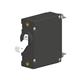 Carling Technologies AA1-B0-34-450-3B1-C