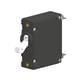 Carling Technologies AA1-B0-34-615-3B1-I