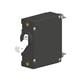 Carling Technologies AA1-B0-52-640-5B1-C