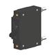 Carling Technologies CA1-B0-24-610-121-KG