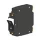 Carling Technologies CF1-B0-11-450-13A-A