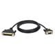 Tripp Lite P404-006
