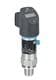 Endress+Hauser PTP31B-AA7M1SGBWWJ