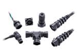 Amphenol LTW RBL Push Lock with Latch Connectors
