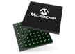 SAM R34 LoRa® Sub-GHz System-in-Package Family