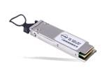 Molex zQSFP+ Loopback Adapters