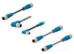 TE Connectivity Ensambles de cables M8 y M12 del actuador de sensores