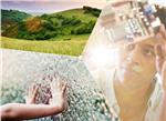 Infineon Technologies e-Power Solutions