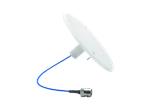 TE Connectivity iDAS CBRS Antennas