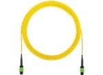 Panduit FPE/FPS Shielded Field Term RJ45 Plugs