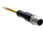 Amphenol LTW M12 D-Code Circular Metric Connectors