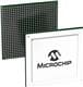 Microchip Technology WP3160W6NFEI-320B1