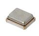 Murata Electronics XRCGB24M000F2C2BR0