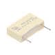 Nichicon PPB1632100KES