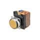 Omron Automation and Safety A22NN-RNM-NAA-G100-NN