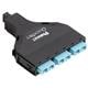 Panduit FQXN-06-03AF