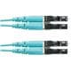 Panduit FX2ERLNLNSNM042