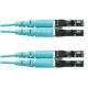 Panduit FX2ERLNLNSNM043