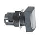 Schneider Electric ZB6DW1