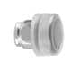 Schneider Electric ZB4BP2