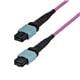 StarTech OS2MTP24BOFNP1M
